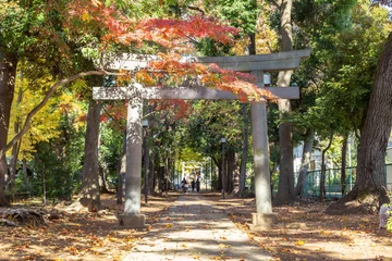 Tuinposter stone torii gate and long walk path in japanese shinto shrine surrounded by autumn colorful tree leaves © Yuichi Mori