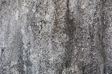 Aged and moldy wallcovering texture