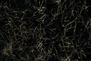 black and white background