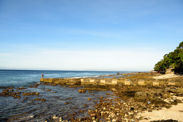 Photo of rugged Pacific Ocean coastline on a gorgeous day.
