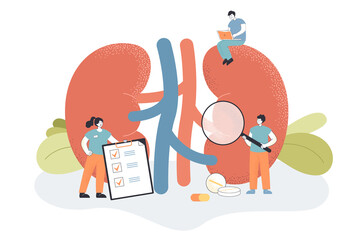 Doctors check health of kidneys and urinary system in clinic. Medical study of tiny people with chronic kidney diseases and physiology flat vector illustration. Urology, nephrology, dialysis concept - obrazy, fototapety, plakaty