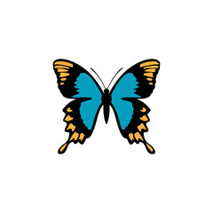 butterfly logo icon design template vector