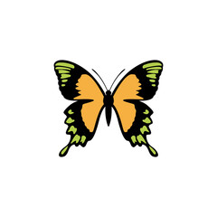 butterfly logo icon design template vector