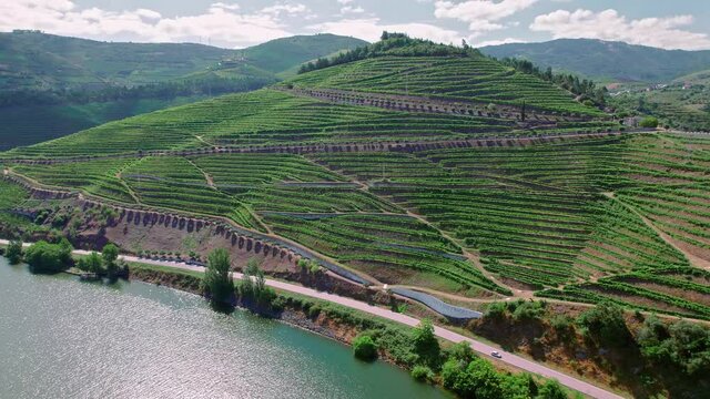 Scenic aerial view of Vila Real District along the Douro River with vineyards. Portuguese massive hills of landscapes wine growing by the National 222 Road, a traditional occupation in Portugal in 4K.