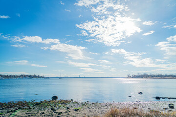 The Landscape of City Island