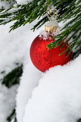 Fototapeta na wymiar Red glass Christmas ornament on a cedar tree outside, covered in fresh snow 