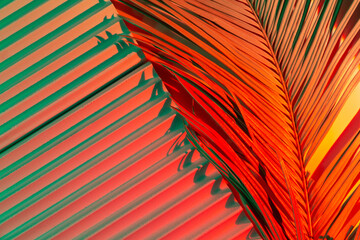 Palm tree leaves on abstract background with podiums in neon light. Trendy geometric shapes for products. Red and green gradient light. Minimalism, 90s, 80s concept.