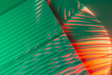 Palm tree leaves on abstract background with podiums in neon light. Trendy geometric shapes for...