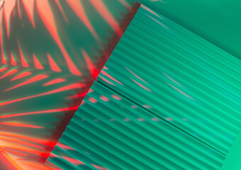 Palm tree leaves on abstract background with podiums in neon light. Trendy geometric shapes for...