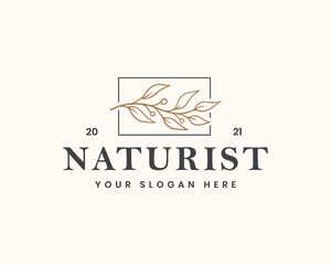 botanical leaf logo template