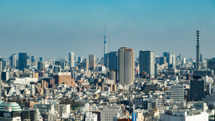 Fototapeta premium Tokyo cityscape
