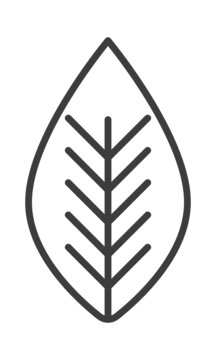 leaf icon image