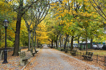 Tree lined sidewalk in northern Manhattan  in Riverside Park