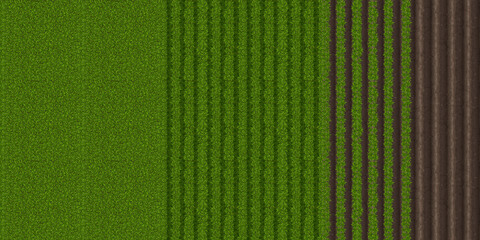 Top view of farm field with green grass and plowed soil. Vector cartoon background of countryside land, plantation with furrow on ground and rows of grow plants © klyaksun