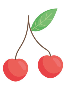 cherries icon image