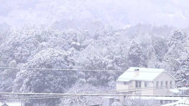 広島市郊外の山沿いに降り積もる雪 4K 2021年12月26日撮影