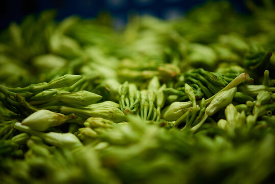 Loroco Fernaldia pandurata traditional central american ingredient