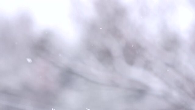ぼかし自然背景素材: 雪が降り積もる雪景色のスローモーション 4K