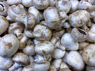 dried mushrooms on the market