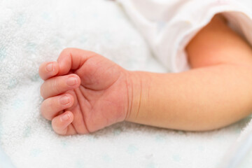 赤ちゃんの手、生後12日、日本人