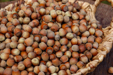 Hazelnuts in a wicker basket, close-up