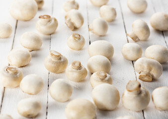 edible mushrooms champignons on a white background of boards