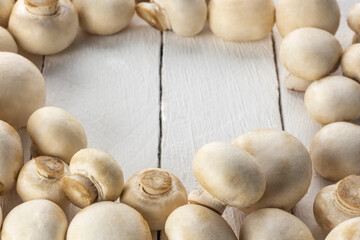 edible mushrooms on a white background of boards with a copy of the space