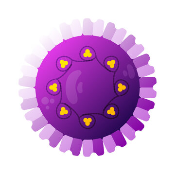 Papillomavirus Color Virus Composition