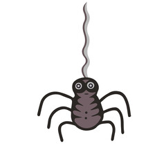Black spider on a web vector. Illustration for printing, backgrounds, wallpapers, covers, packaging, greeting cards, posters, stickers, textile and seasonal design. Isolated on white background
