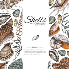 Sea shells sketch frame or border with copy space for text, vector illustration.