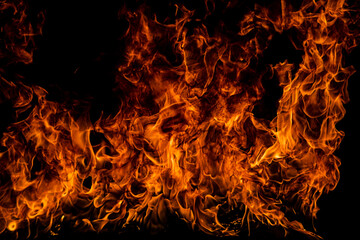 Fototapeta na wymiar The fire, burning flame. Large burning flaming fire.