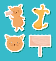 cats and dog set