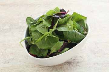 Vegetarian mix green vitamin salad