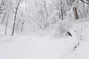 park in the winter season