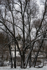 Church of the Savior on the city, Yaroslavl,