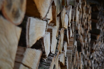 Holzstapel Feuerholz gestapelt Nahaufnahme
