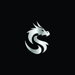 Silver color dragon vector.
Dragon logo Icon