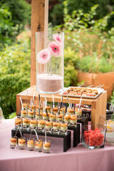 Cocktail, cuill&egrave;res saumon, Verrines