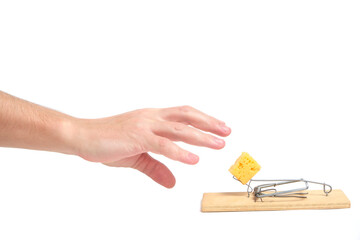 Hand reaches for piece cheese in mousetrap on a white background.Concept business, life and hard...