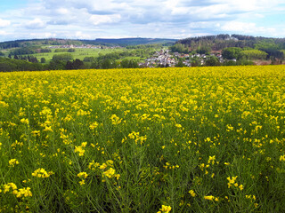 Obraz premium Alsbach in der Verbandsgemeinde Ransbach-Baumbach im Westerwald. Blick vom Wanderweg Wäller Tour Brexbachschluchtweg