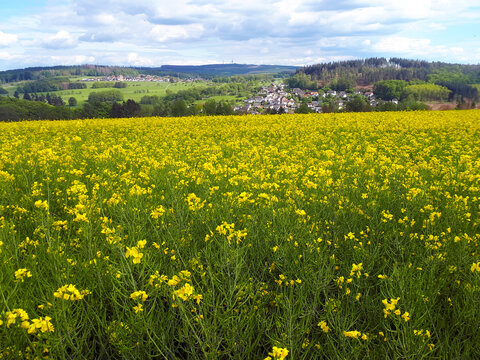 Alsbach in der Verbandsgemeinde Ransbach-Baumbach im Westerwald. Blick vom Wanderweg W&auml;ller Tour Brexbachschluchtweg