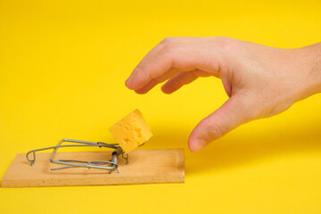 Hand reaches for piece cheese in mousetrap on a yellow background.Concept business, life and hard...