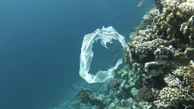Plastic pollution - A piece of plastic bag drifting near coral reef, gradually collapsing and turns into microplastics. Plastic garbage environmental pollution problem. 