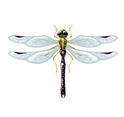 Dragonfly in cartoon style, vector isolated art