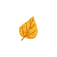 Dry fall leaf. Autumn foliage tree leaves in September. Yellow autumnal October leafage of birch. Modern botanical flat vector illustration isolated on white background