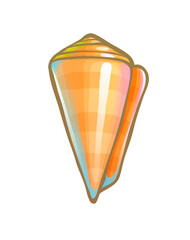 Striped cone shell. Marine animal, vector drawing