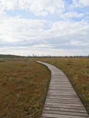 A section of brown plank flooring over a swamp with yellowed grass, against a sky with clouds.