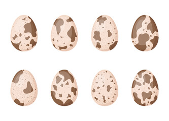 Set of quail eggs, vector illustration