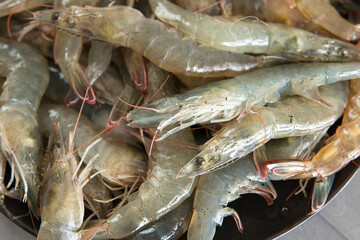 Close up of fresh green shrimp