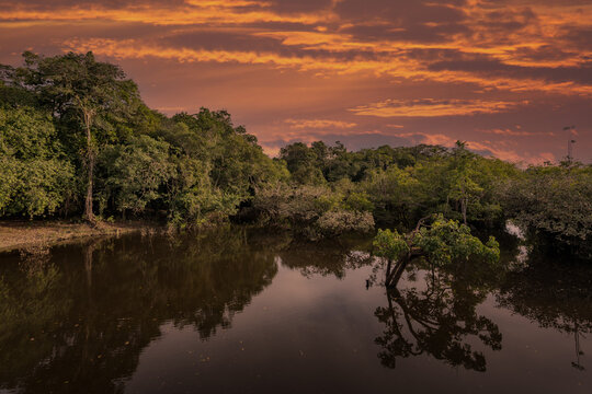 Reflection of a sunset by a lagoon inside the Amazon Rainforest Basin. The Amazon river basin comprises the countries of Brazil, Bolivia, Colombia, Ecuador, Guyana, Suriname, Peru and Venezuela